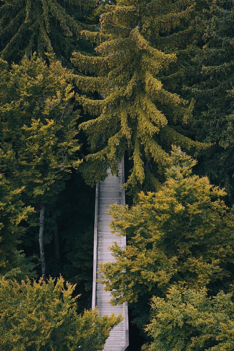 Certification Paths